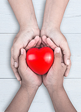 Z6���������й����ٷ���վ